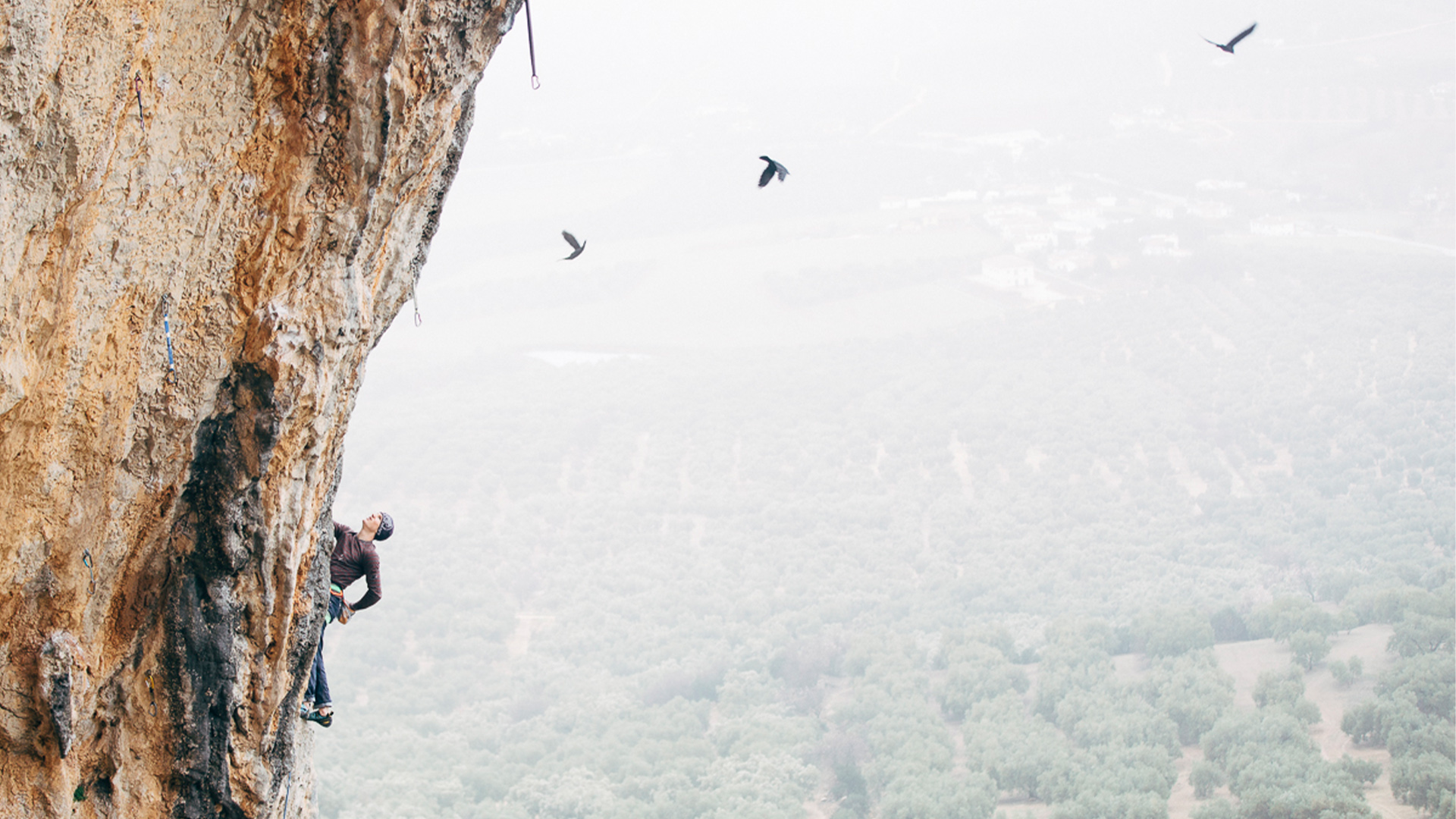 Jakob Schubert - Andalusien 2016 - Photo by Elias Holzknecht